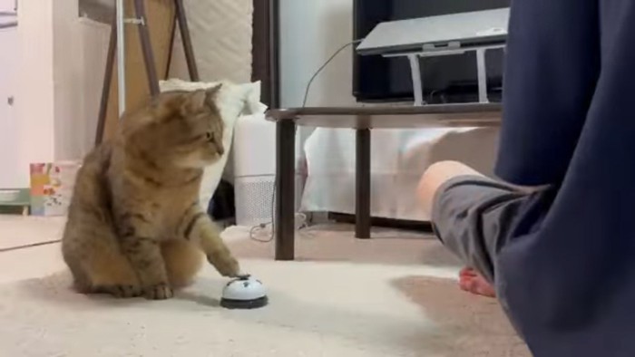 左前足でタッチ