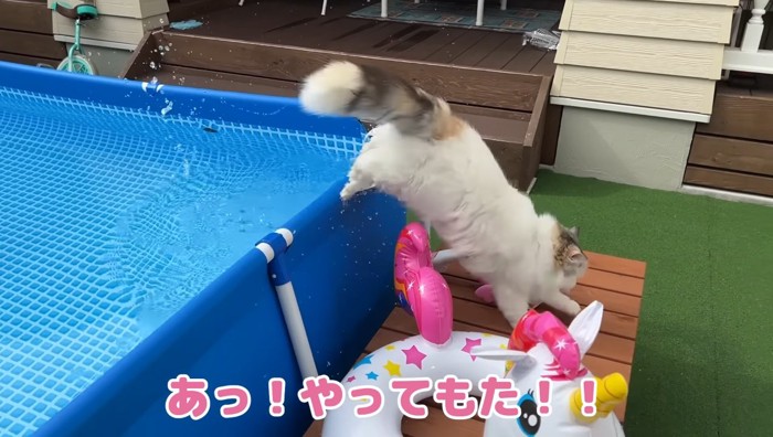 やってもた!!