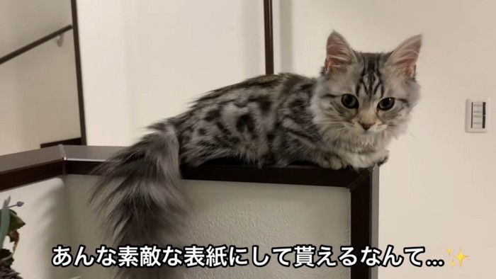 喜ぶ飼い主さん