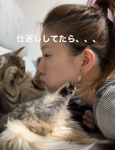 猫の顔に口を近づける人（仕返ししてたら、、、）