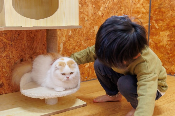 猫と子ども