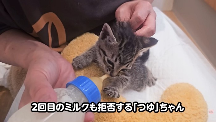 テロップ「2回目のミルクも~」