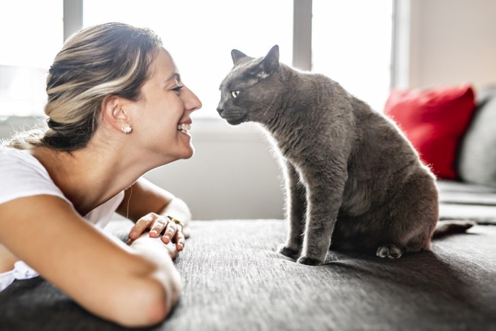 女性と向き合う猫