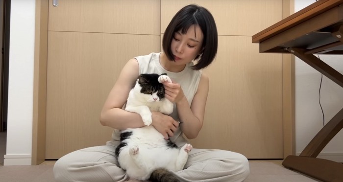 片手を上げる猫と人間