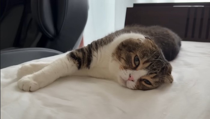 ベッドの上