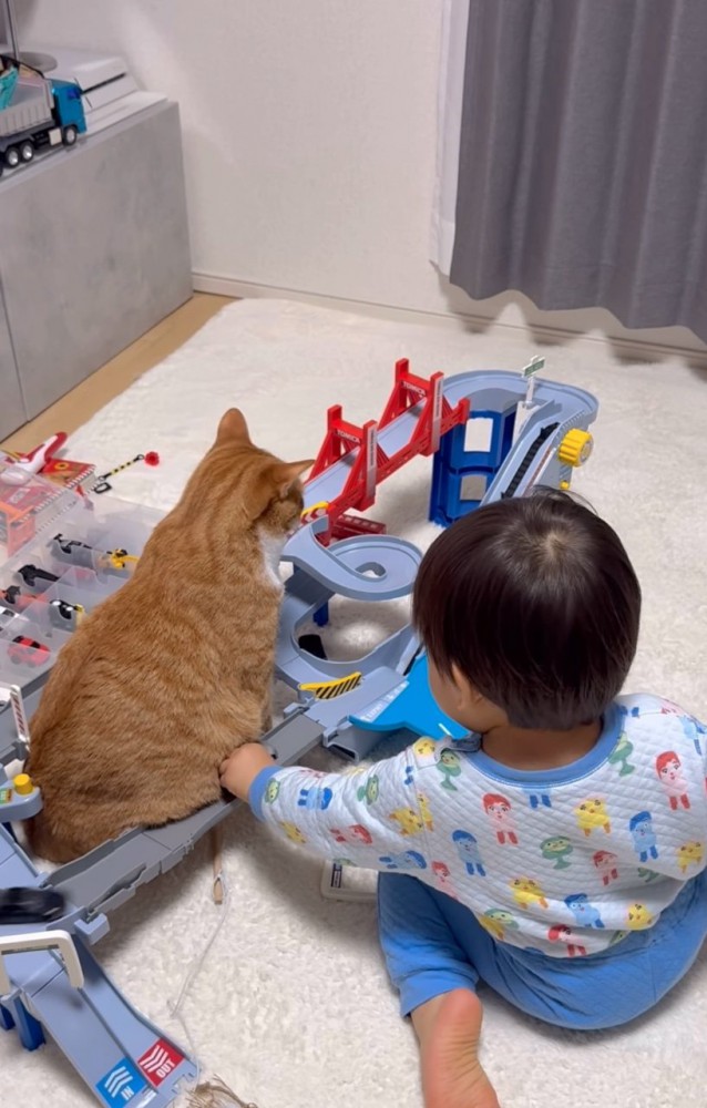 カーブを曲がる車