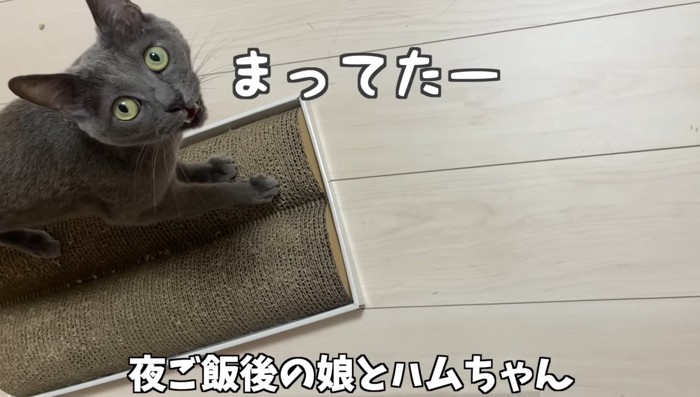 まってたー