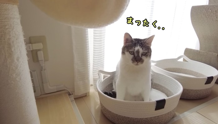 まったく