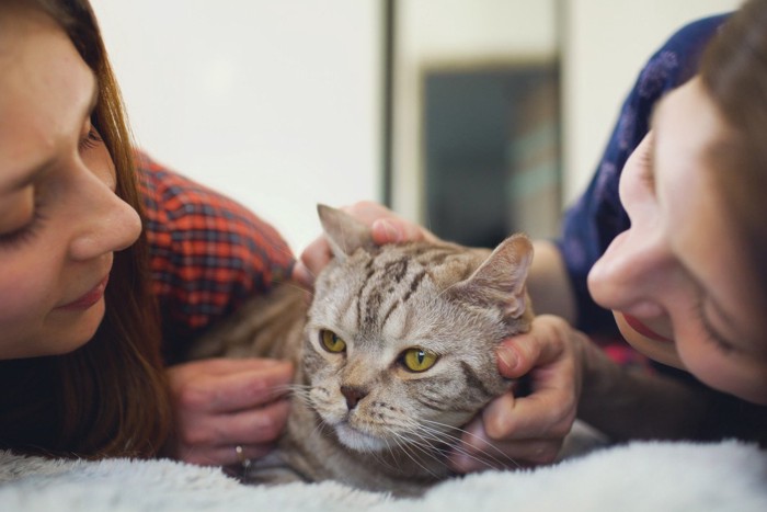 女性にはさまれてウンザリ顔の猫