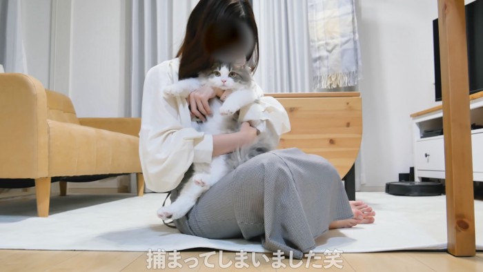 不満そうな猫