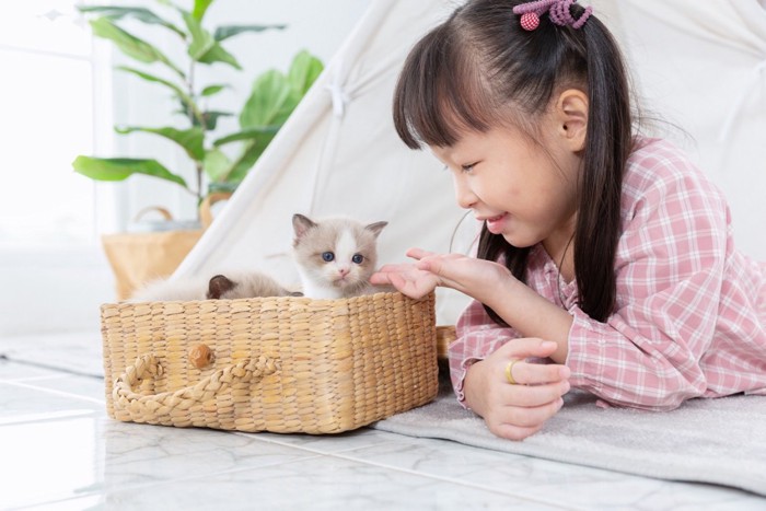 子猫に優しくする少女