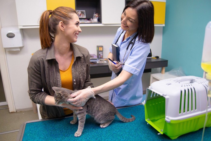 動物病院で猫を診察する女性獣医師