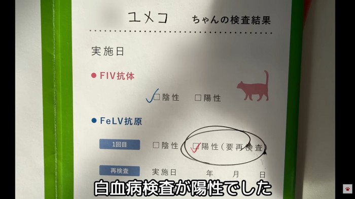 テロップ「白血病検査が～」