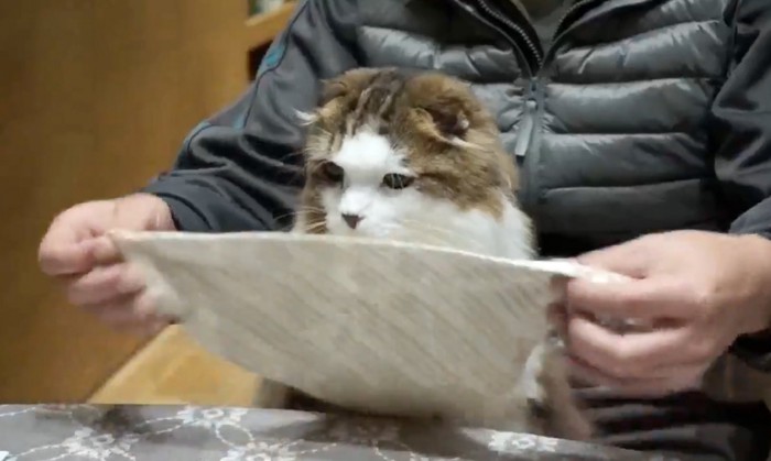 布を持ち上げる