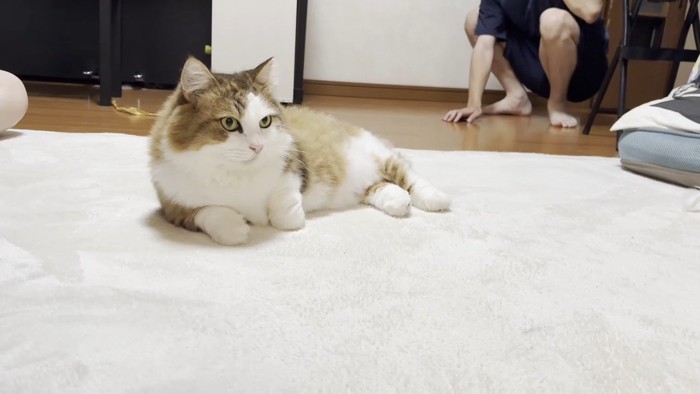 寛ぐ姿としゃがむ息子さん