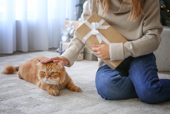 贈り物を持つ女性と猫