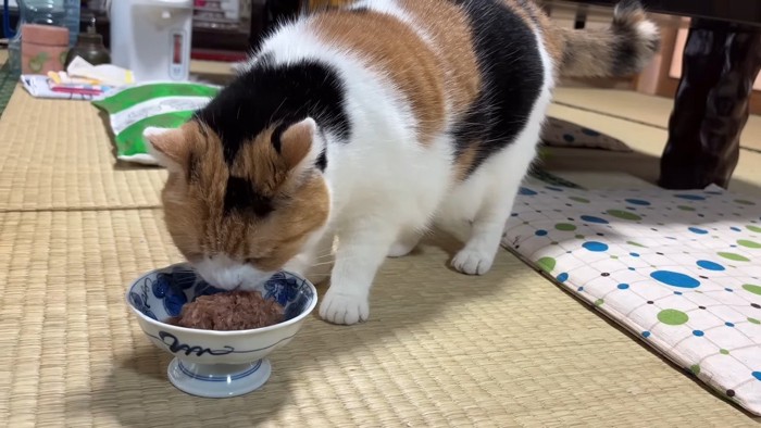 ごはん