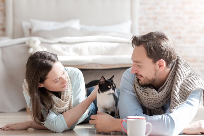 猫を可愛がっている夫婦