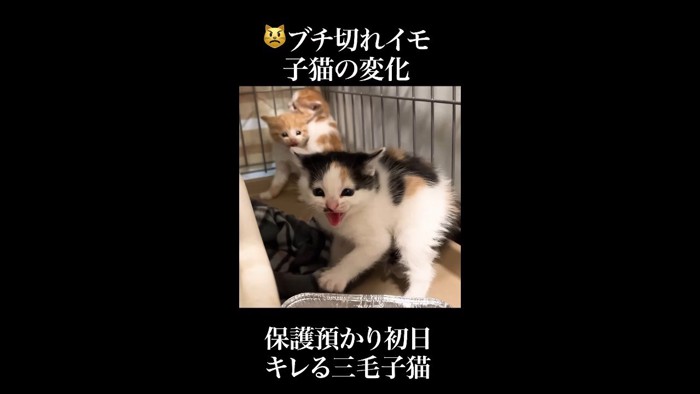 威嚇