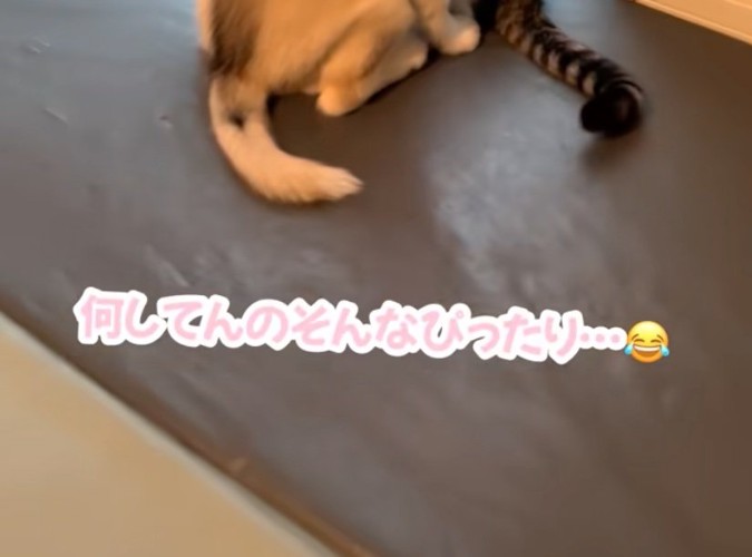 窓に近づく