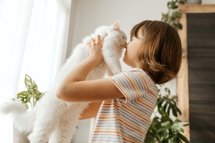 顔をくっつける猫と少女