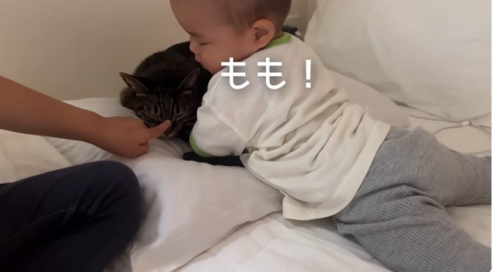 ベッドの上にいる子供と猫