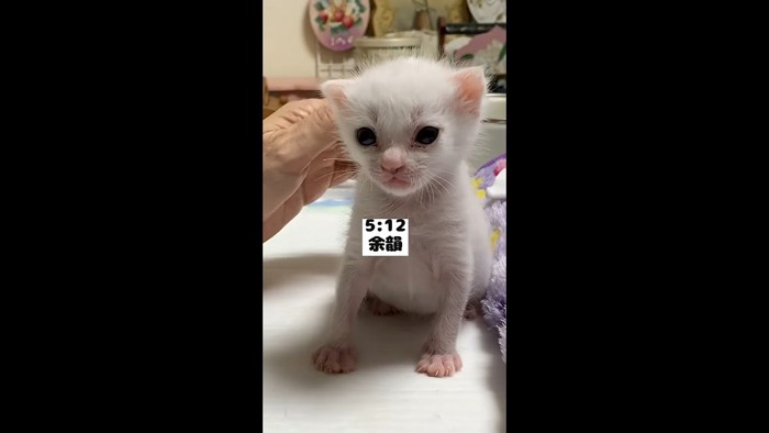 余韻