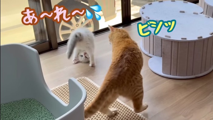 あ〜れ〜