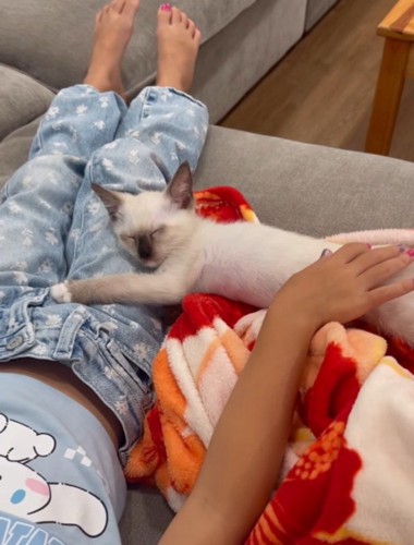 女の子の足に頭を置いてくつろぐ子猫
