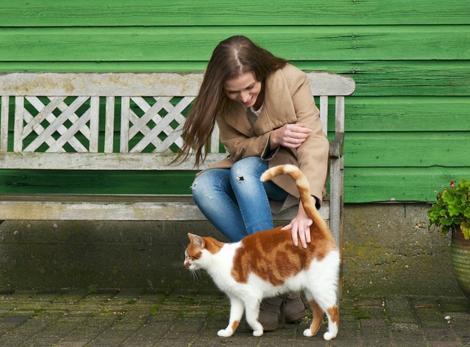 猫の尻尾の付け根を撫でるベンチに座った女性