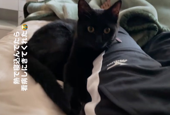足元に座る黒猫