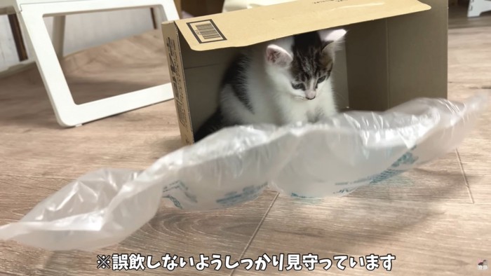 テロップ「※誤飲しないよう～」