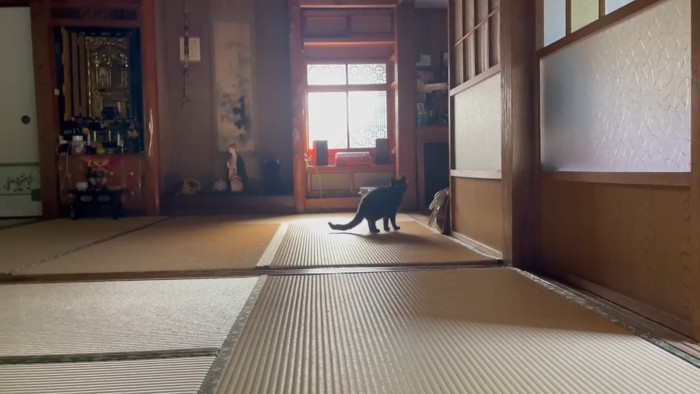 遠くから