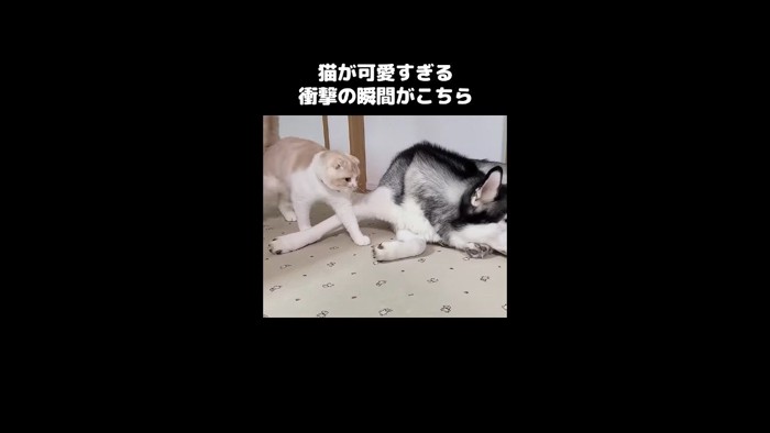 歩いてきて