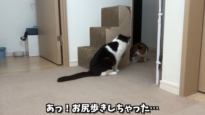 ライラちゃんを見つめるうま次郎くん