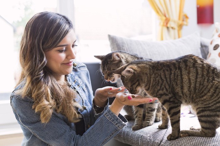 女性と戯れる猫