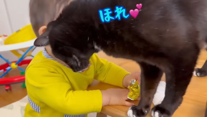 ほれ