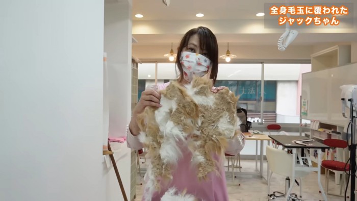 取れた毛玉
