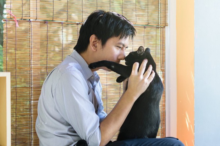 鼻を近づける猫と飼い主