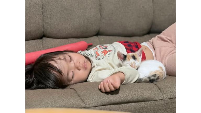 寝ている子猫と子ども