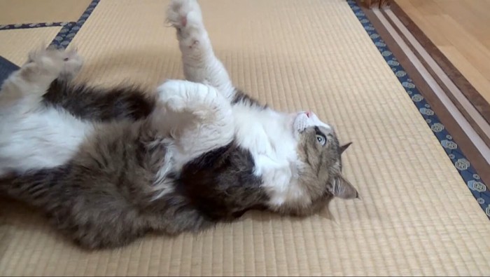 手をはなしたところ