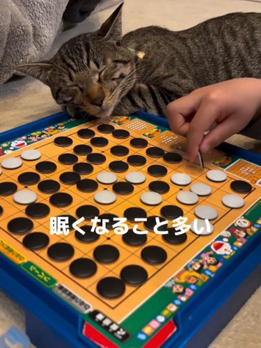 オセロ盤で寝る猫