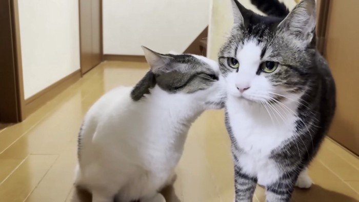 二回目二番のおでこ