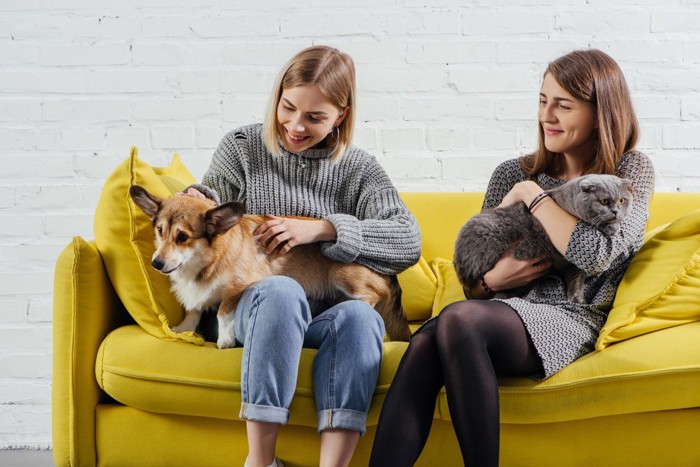 猫飼いの女性と犬飼いの女性