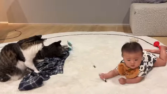 猫じゃらしを持つ赤ちゃん
