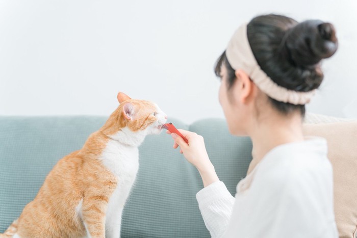 猫にペースト状のおやつをあげる女性