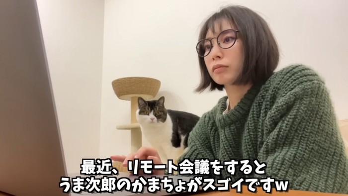 人の後ろの方に立つ猫