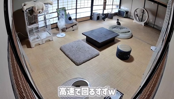 高速で