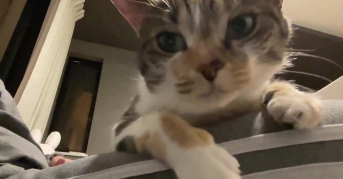 インカメラで撮影中のむーちゃん