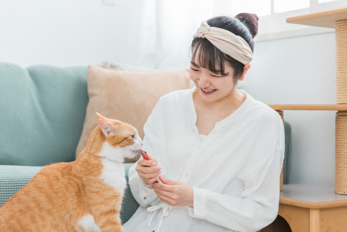 猫におやつを与えている女性